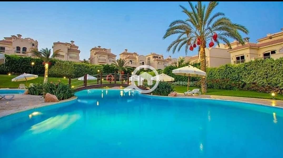 5 WhatsApp Image 2025-11-02 at 16.48. 37_e3354052. jpg