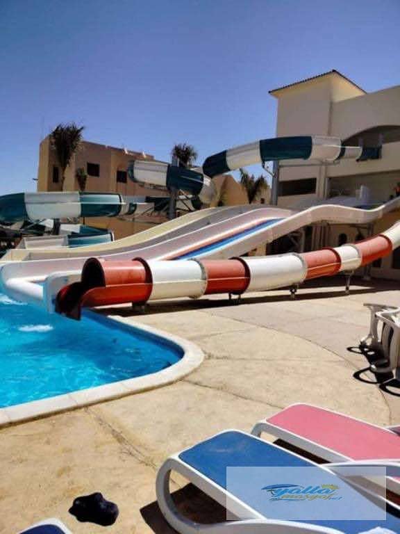 14 6903ea0381136_6903ea03809ff. jpeg