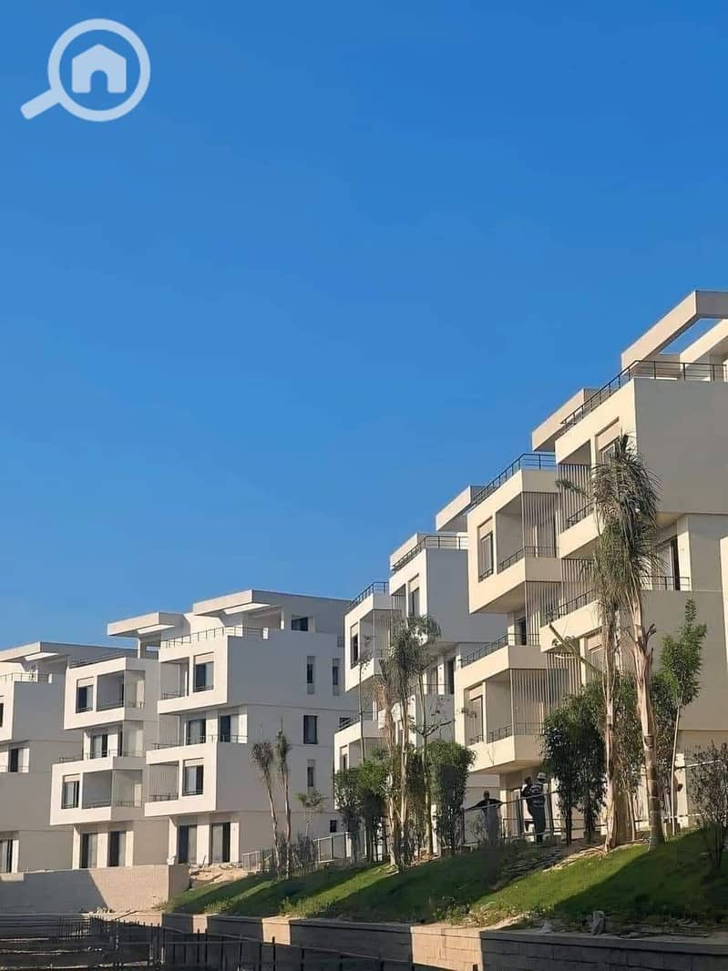 10 559027241_1131122895816632_1294498866416207921_n. jpg