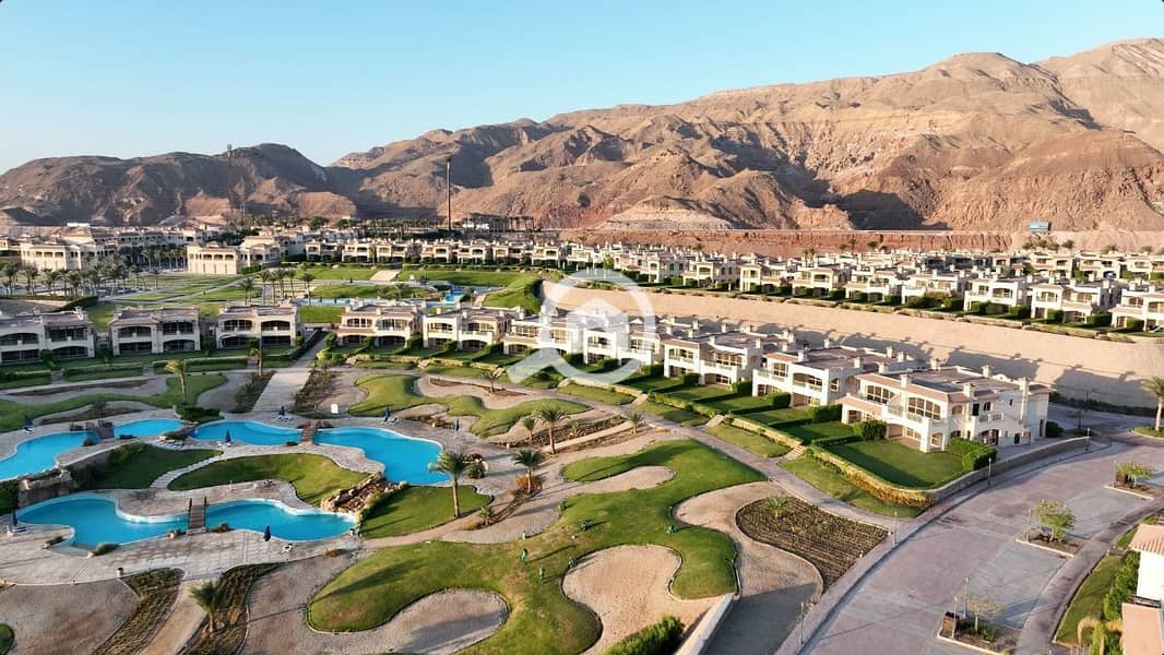 10 photo_2025-03-24_22-12-15. jpg