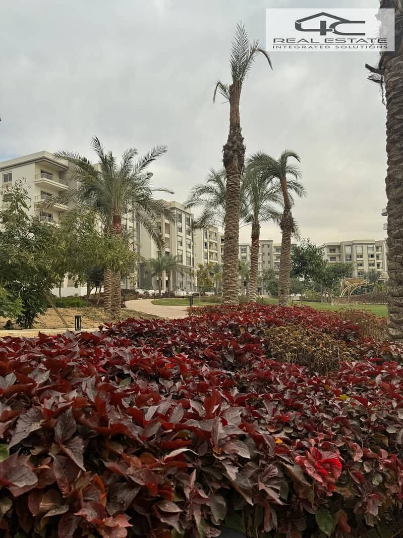 2 WhatsApp Image 2025-02-03 at 15.40. 05_10d42fd3. jpg