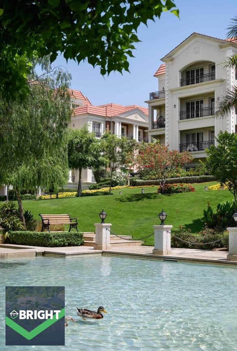 5 b2b87604-78df-4f03-87bc-c54d722f29f0 - Copy. jpg