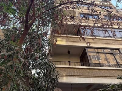 عقار سكني آخر 11 غرف نوم للبيع في مصر الجديدة، القاهرة - WhatsApp Image 2025-11-02 at 8.59. 08 PM. jpg عقار سكني آخر 11 غرف نوم للبيع في مصر الجديدة، القاهرة - WhatsApp Image 2025-11-02 at 8.59. 08 PM. jpg