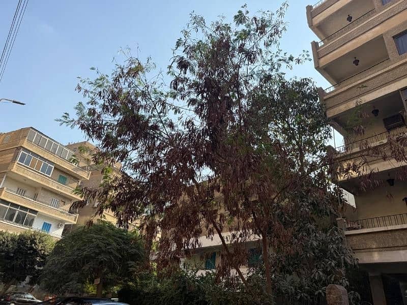 6 WhatsApp Image 2025-11-02 at 8.59. 15 PM. jpg