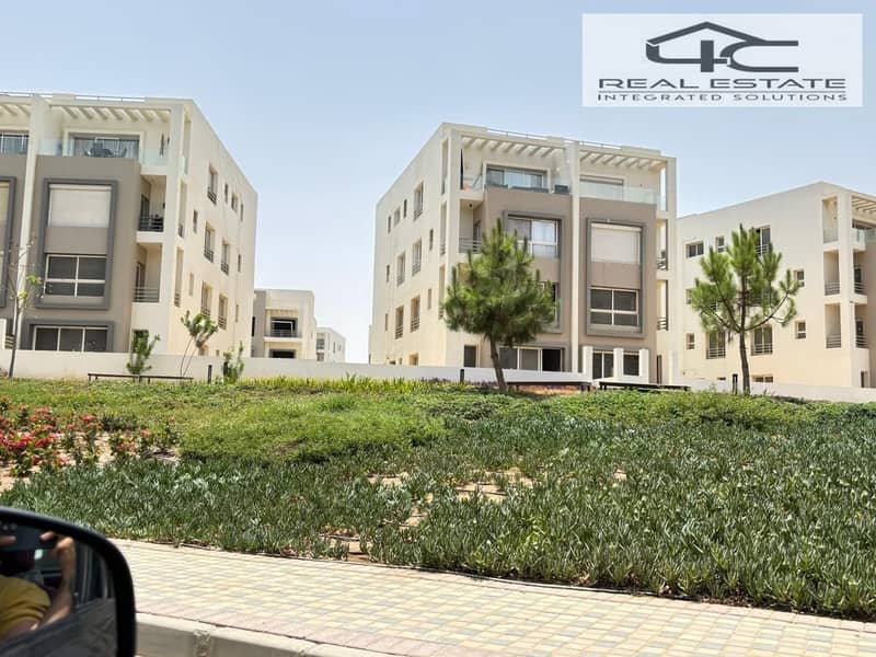 3 WhatsApp Image 2025-06-17 at 16.57. 17_c219b151. jpg