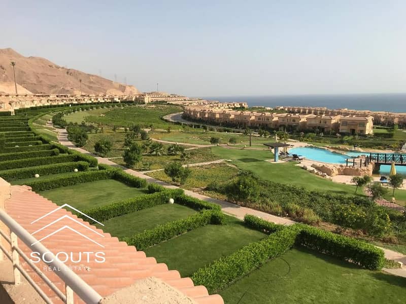 7 25955400-98dc-44e6-b822-3fabc66d67a5. jpg