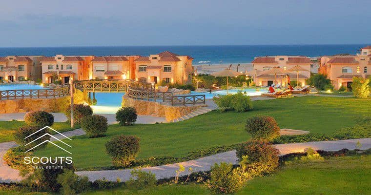 12 UXM1ZaqRgLQOMpUG. jpg