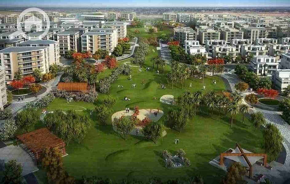 14 FB_IMG_1761281083242. jpg