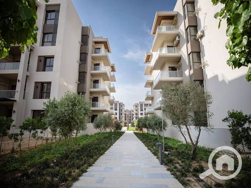 8 541621665_4126573504268142_1145192169995741867_n_800x600. jpg