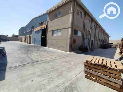 Factory for Rent in 10th of Ramadan, Sharqia - 1000097307. jpg