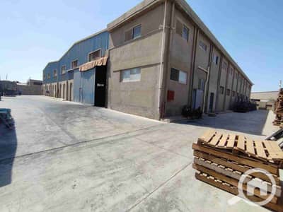 Factory for Rent in 10th of Ramadan, Sharqia - 1000097307. jpg