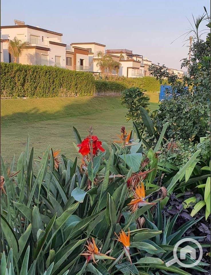 5 572836024_1114085867468913_7861412020265007948_n. jpg