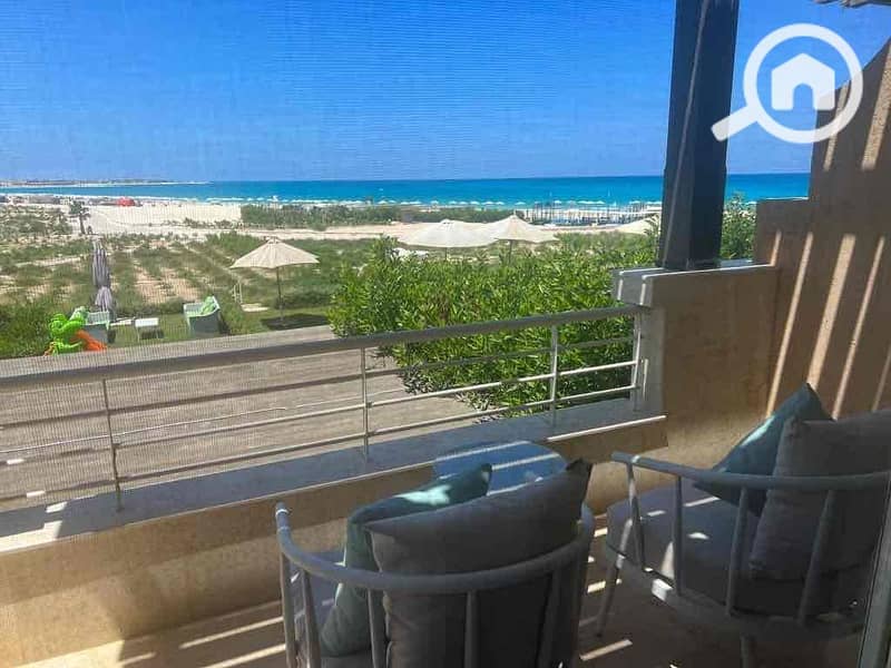 15 4397ef63-2c7d-4801-bc48-d7df7be04cef. jpg