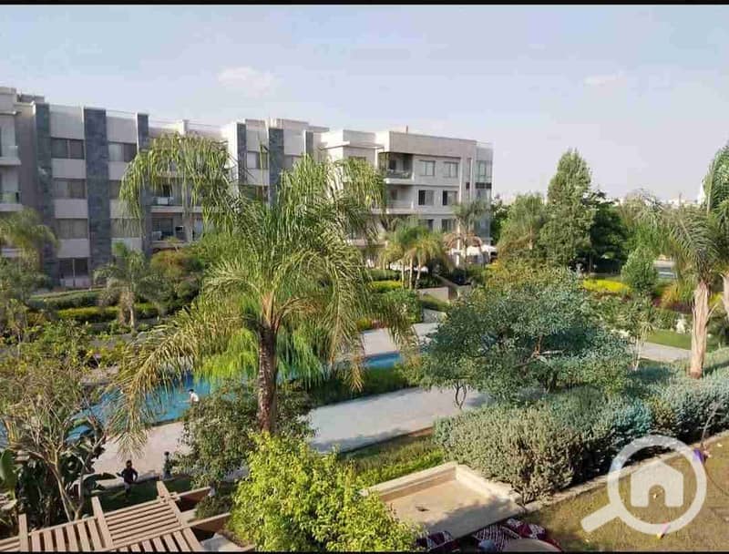 9 FB_IMG_1762138454410. jpg