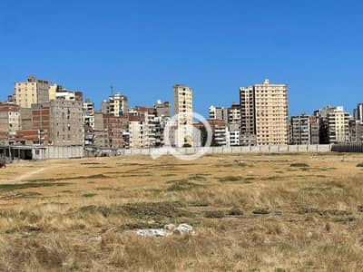 Residential Land for Sale in Smoha, Alexandria - photo_1_2025-11-02_13-05-52. jpg