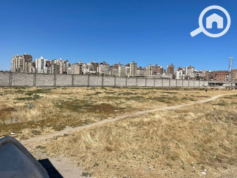 2 photo_2_2025-11-02_13-05-10. jpg