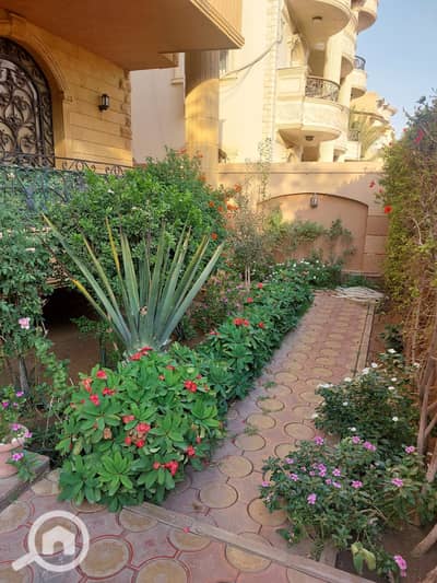 3 Bedroom Apartment for Rent in New Cairo, Cairo - IMG-20251030-WA0056. jpg
