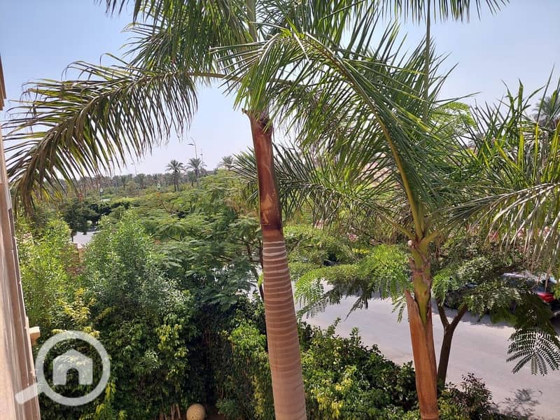 14 366838308_3099576130337179_6654447498431257199_n. jpg