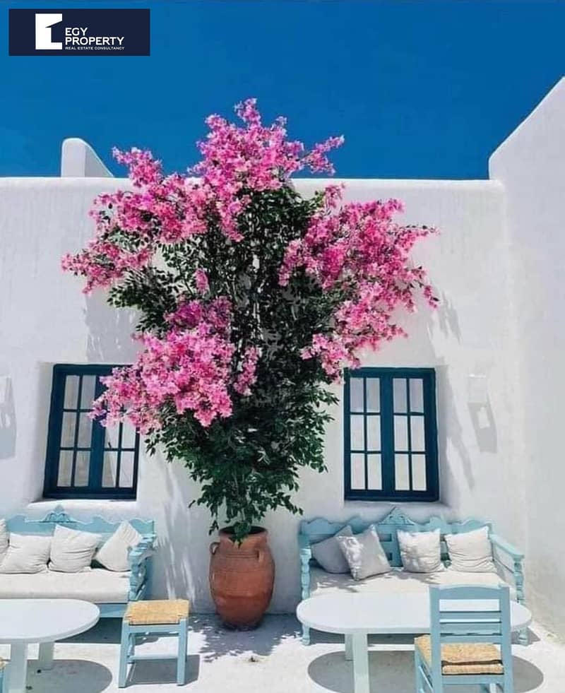 8 WhatsApp Image 2025-11-02 at 11.28. 38 PM. jpeg