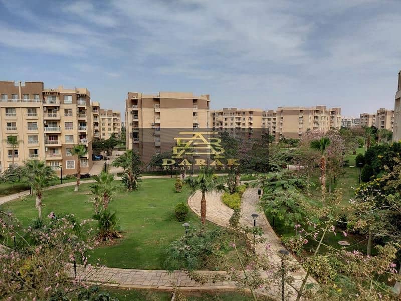 cdf2d24c-e4e2-4784-bae0-4c7729ad4529. jpg