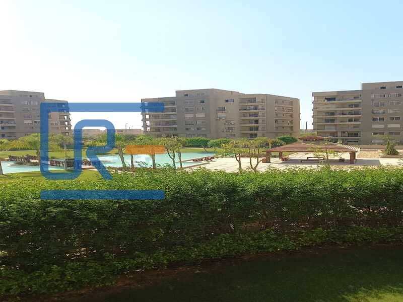 4 IMG-20251102-WA0005. jpg