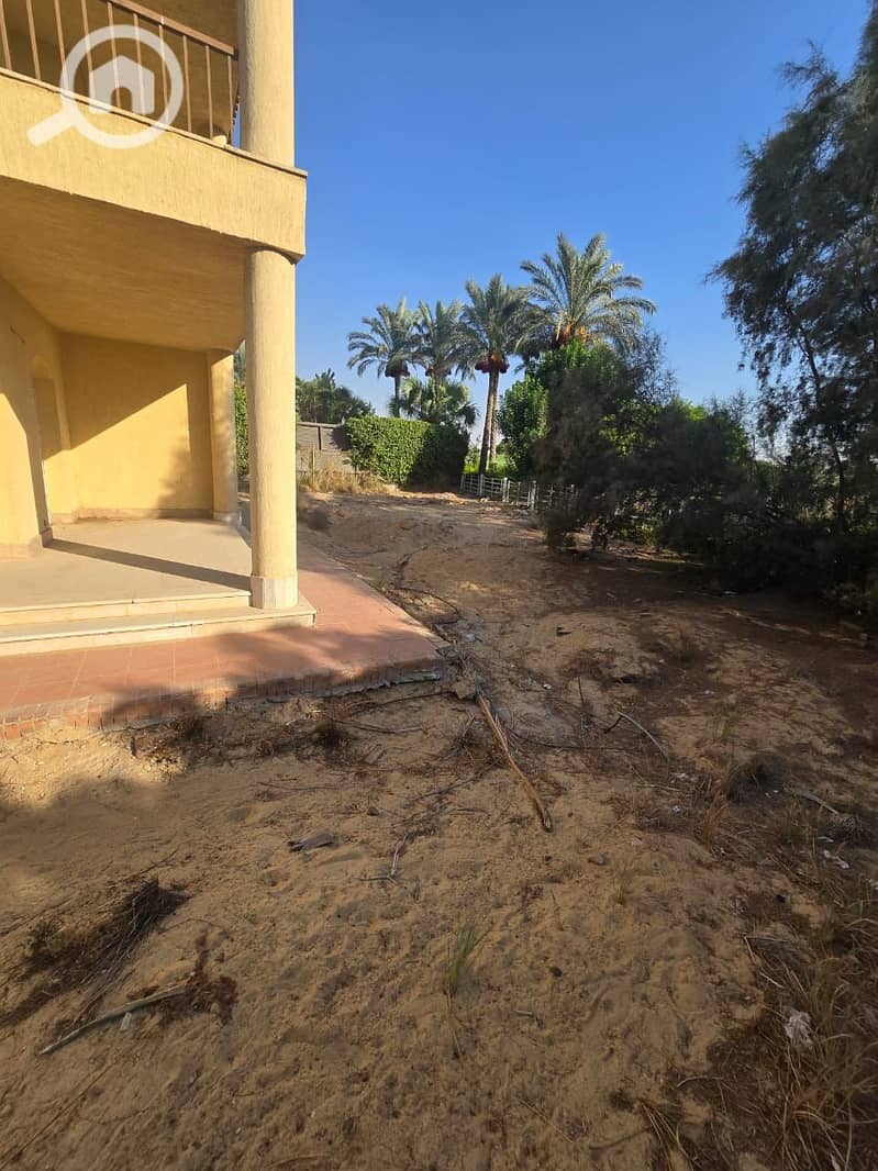 16 bb3c7eda-7626-4328-af70-538e46536fde. jpeg