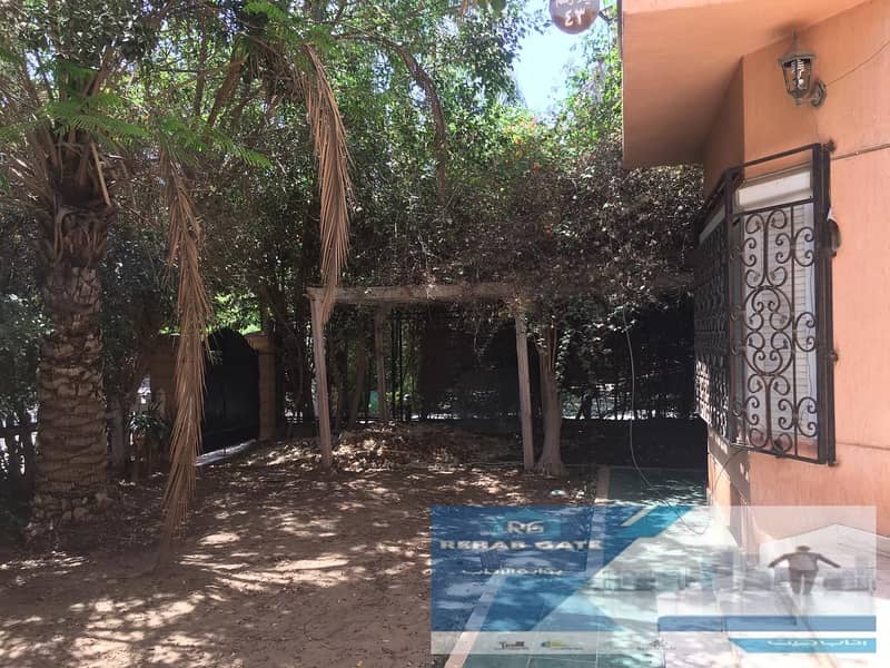 2 WhatsApp Image 2025-11-03 at 10.38. 37 AM (1). jpeg