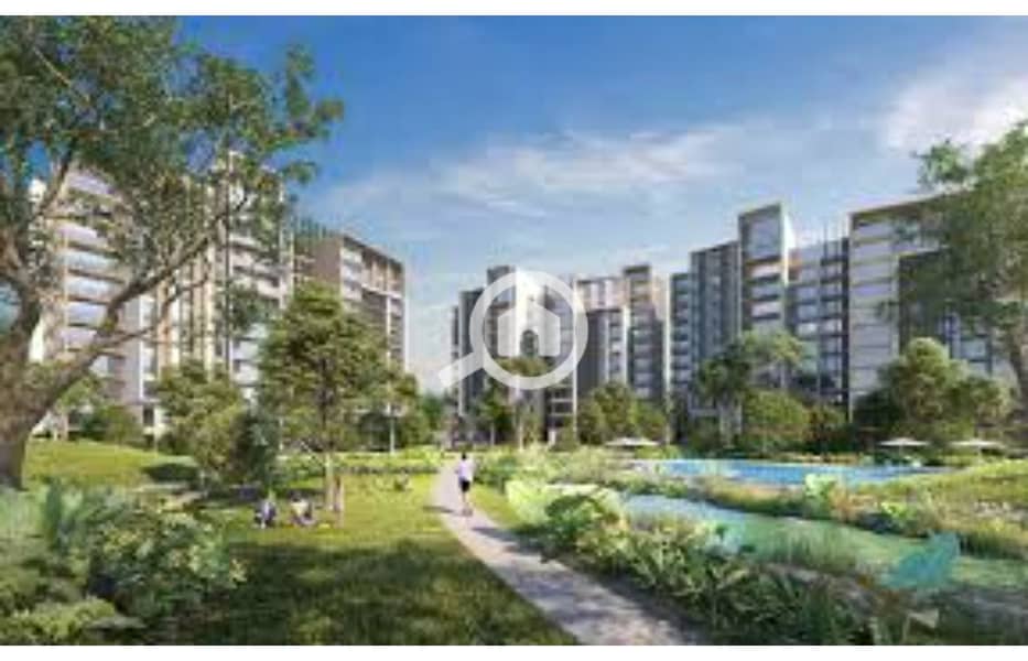 5 images (3). 1. jpg