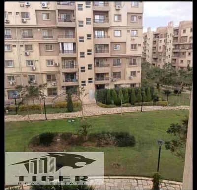 2 Bedroom Flat for Rent in Madinaty, Cairo - 1000515448. jpg