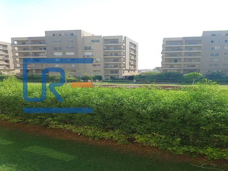 6 IMG-20251102-WA0010. jpg