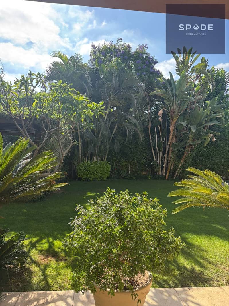 20 IMG-20251103-WA0045. jpg