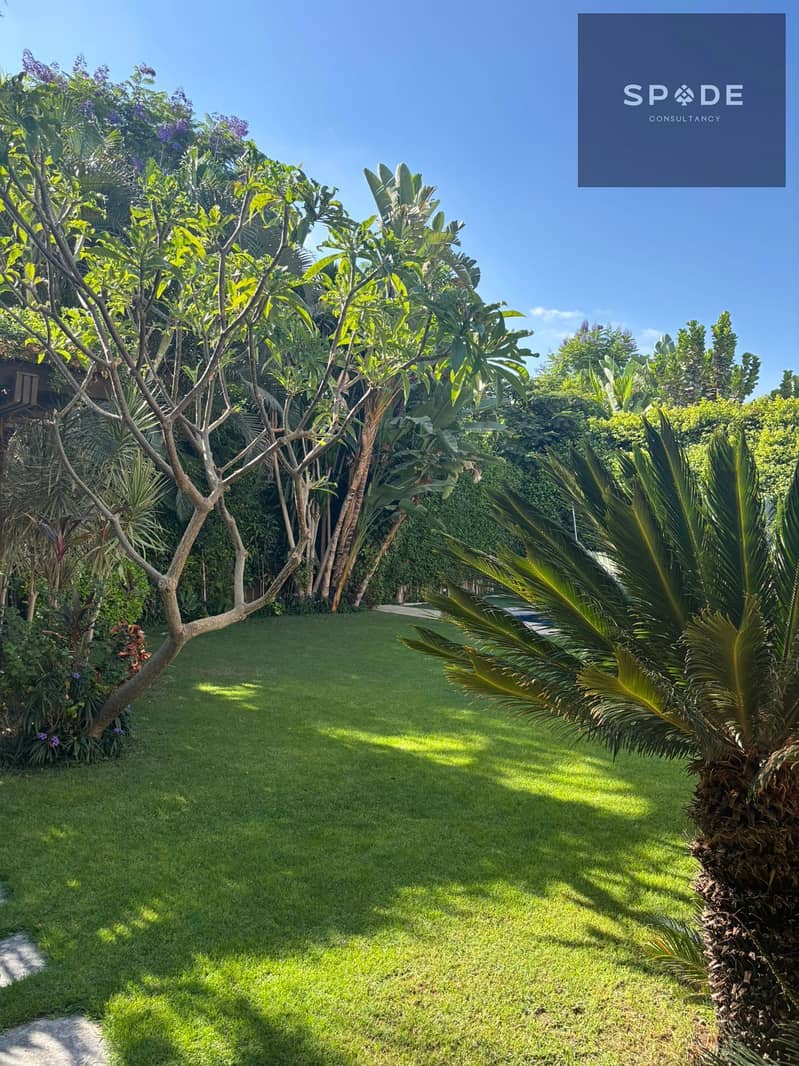 21 IMG-20251103-WA0046. jpg