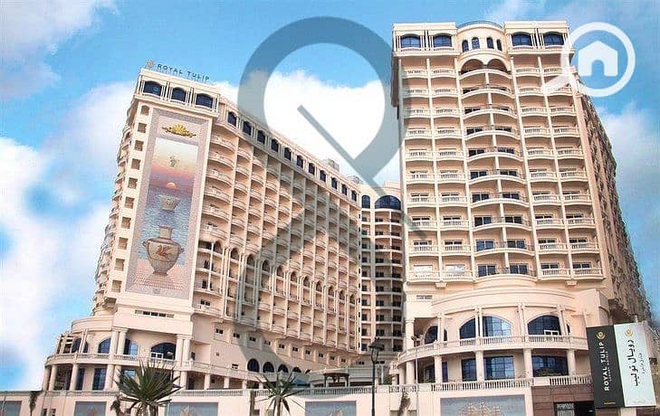 11 PHOTO-2025-11-03-11-59-25 3. jpeg