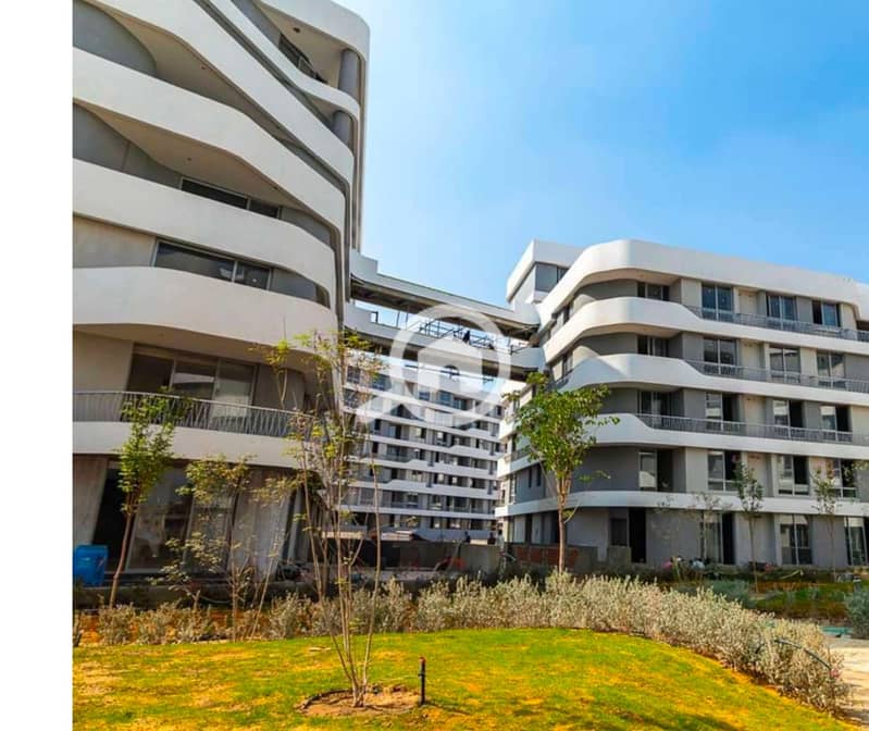 10 IMG_1684 (1). PNG