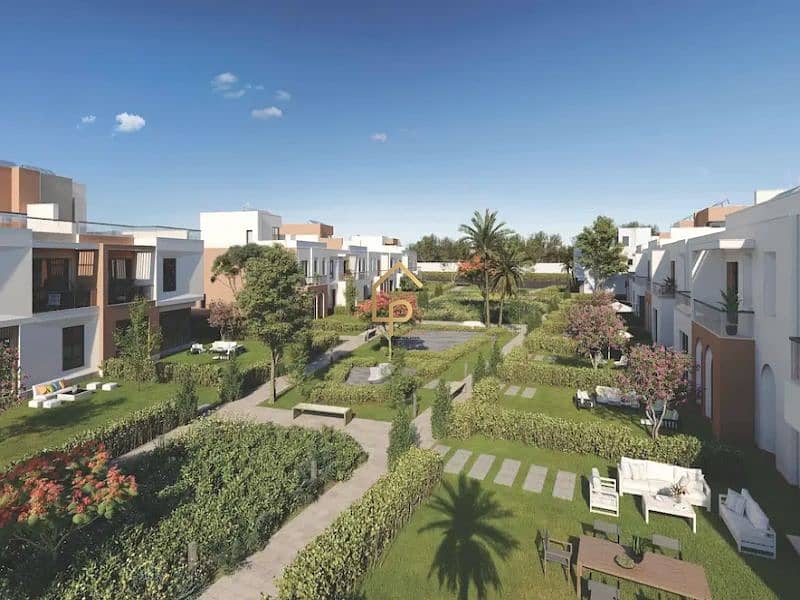 5 VYE-Sodic-Zayed-(1)-webp_format. jpg