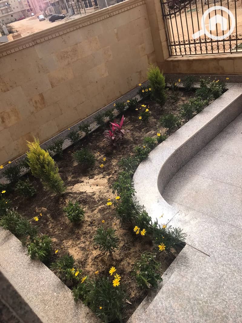 25 IMG-20250222-WA0005. jpg