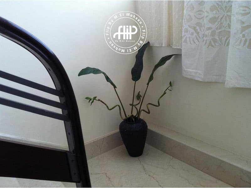 6 IMG-20241022-WA0230. jpg