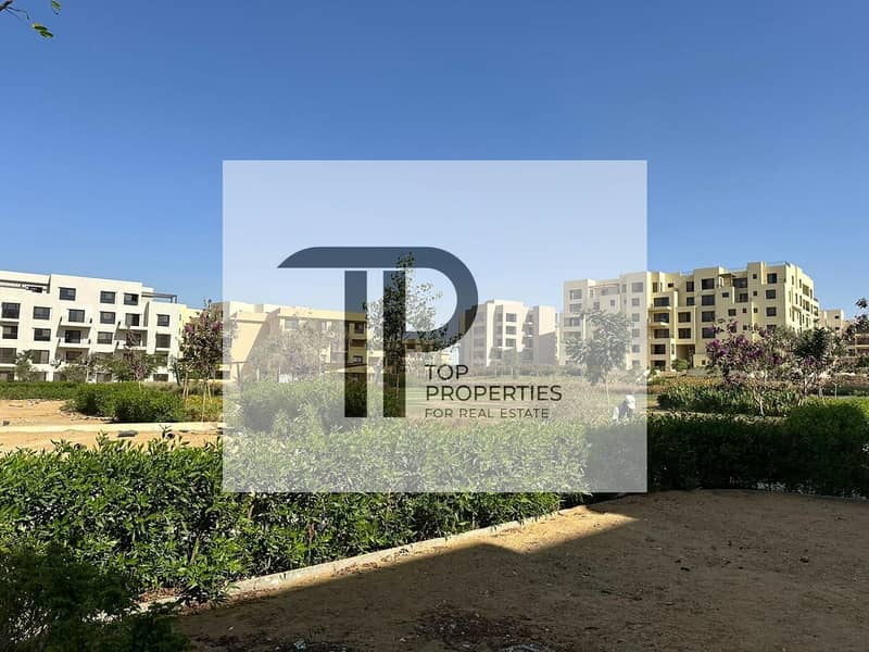 4 IMG-20251021-WA0151. jpg