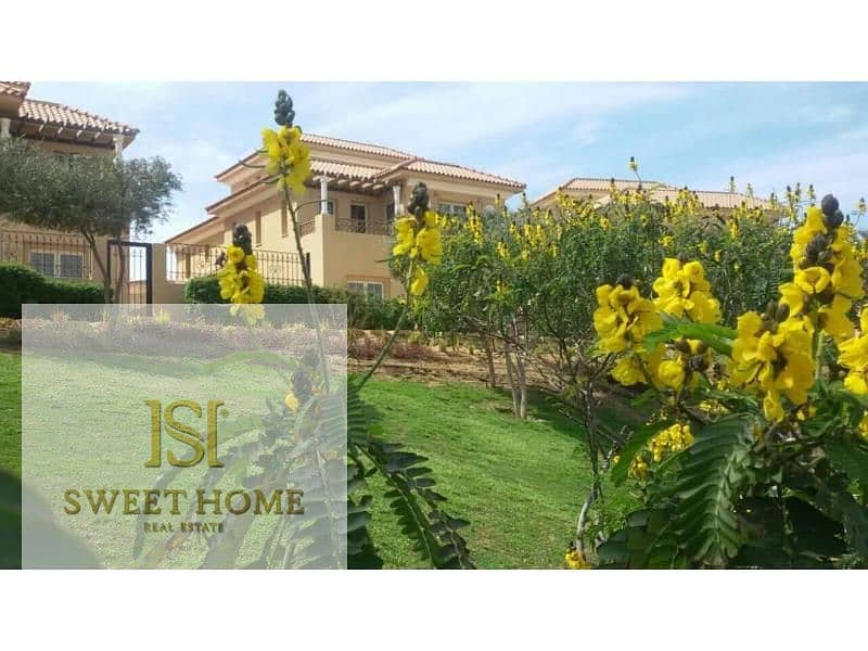 10 aa898501-9405-4323-994a-93071733a131. jpg