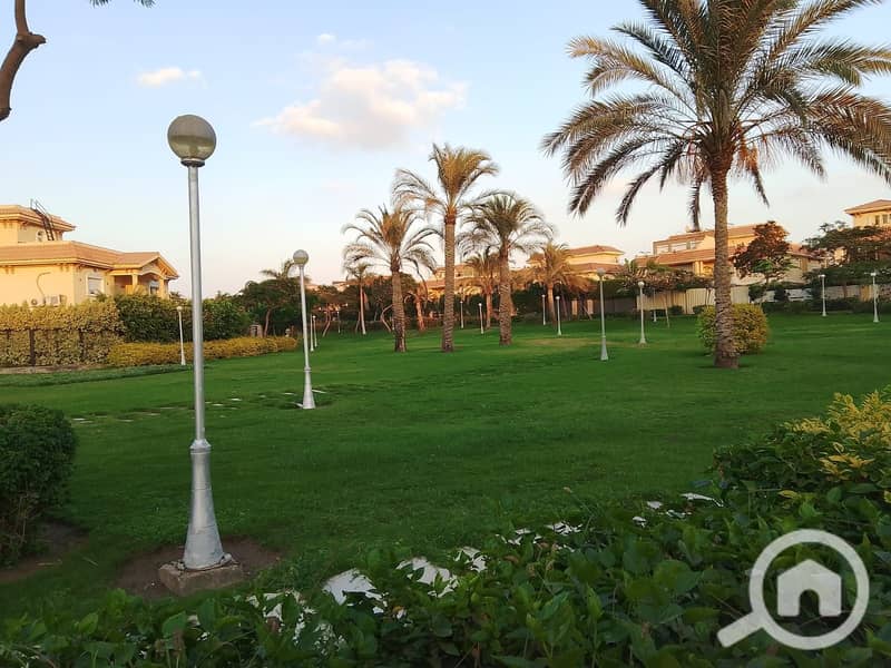 5 71179c39-889d-4f26-bcd4-95de546a18cb - Copy. jpeg