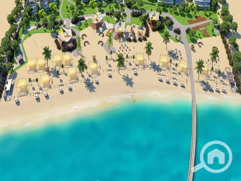 3 Beach_Bird_Shot_01. RGB_color__2_. jpg