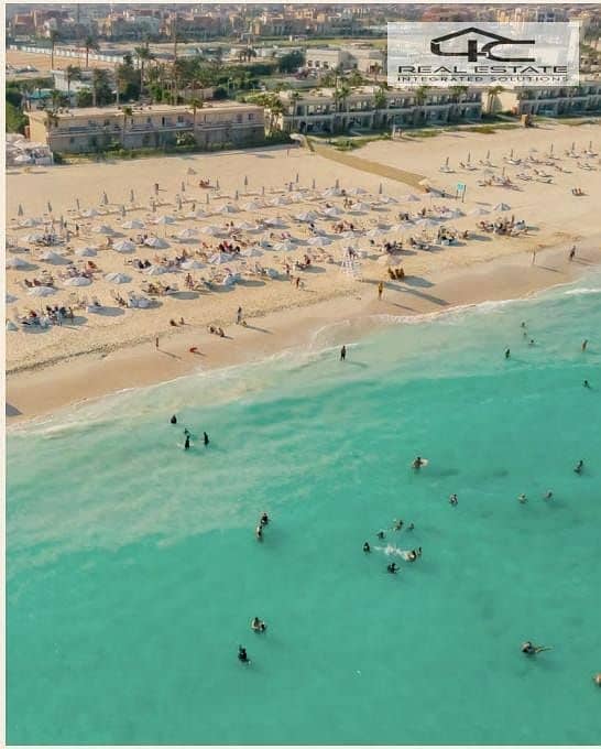 8 478a089a-74e6-4071-8ea5-bab9909c42b4. jpg