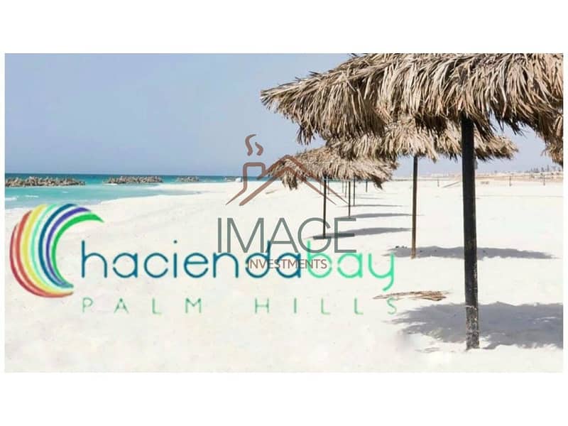 4 WhatsApp Image 2024-12-23 at 1.48. 22 PM. jpg