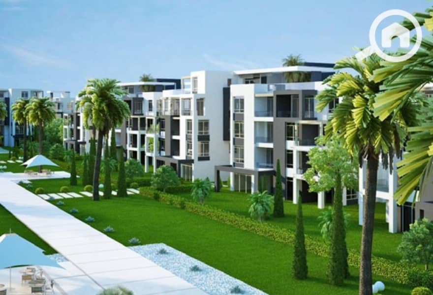 8 4571f597-597d-4ca0-b793-947bcdba8f07. jpg