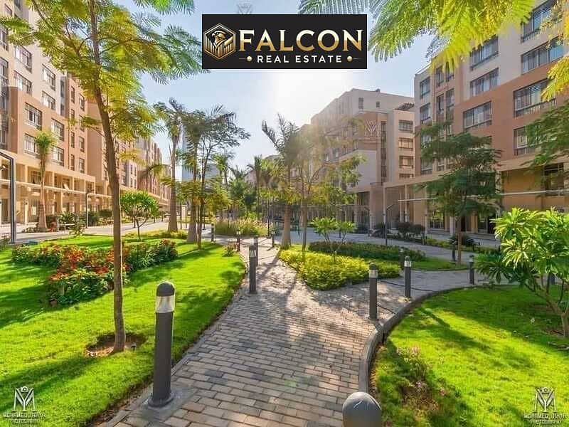 3 455723759_122110426352426339_7505227765409273474_n. jpg