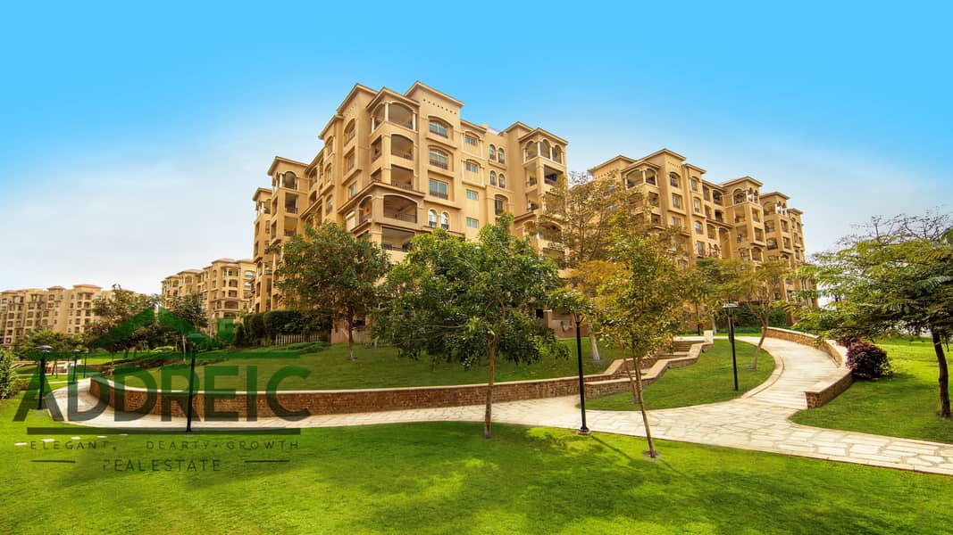 2 Madinaty Buildings. jpg