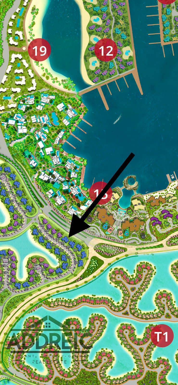 2 WhatsApp Image 2025-10-12 at 1.01. 55 AM. jpeg