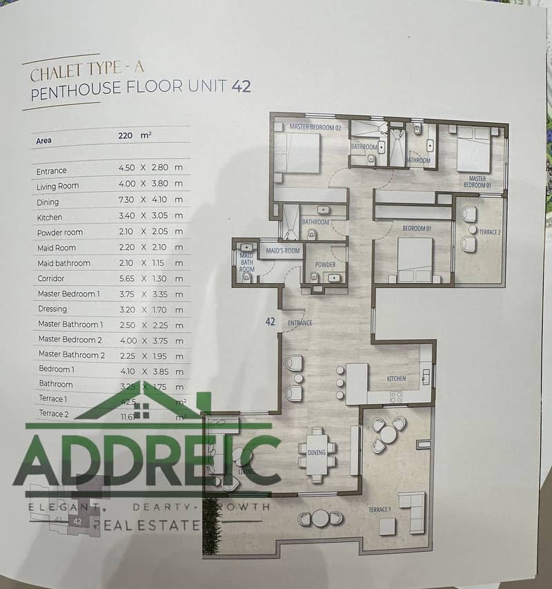 3 WhatsApp Image 2025-10-12 at 1.01. 57 AM. jpeg