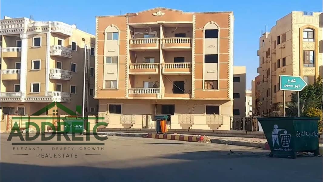 5 maxresdefault (1). jpg