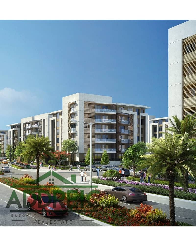 WhatsApp Image 2025-10-20 at 3.37. 54 PM (1). jpeg WhatsApp Image 2025-10-20 at 3.37. 54 PM (1). jpeg